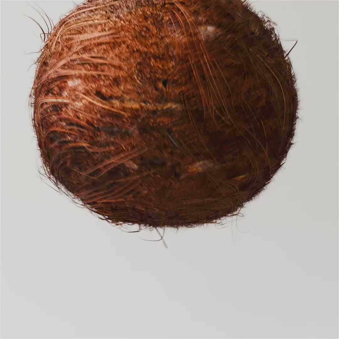 HoneyBalm - Hindistan Cevizi